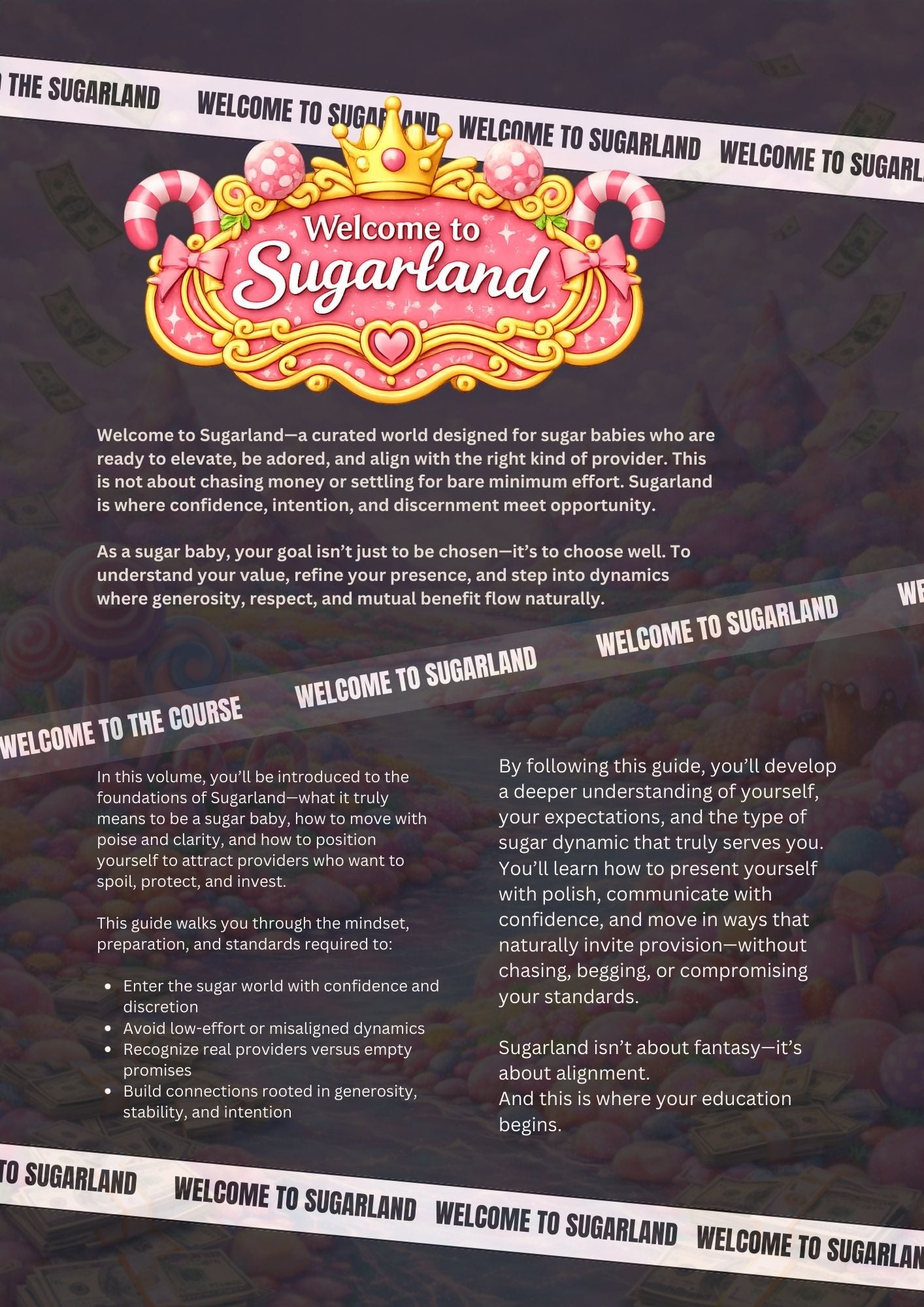 The Ultimate Sugarbaby Guide Vol. 1 Ebook